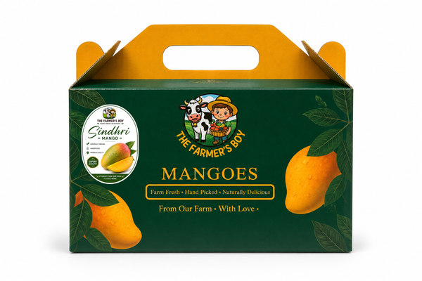 Mango Gift Box - Sindhri